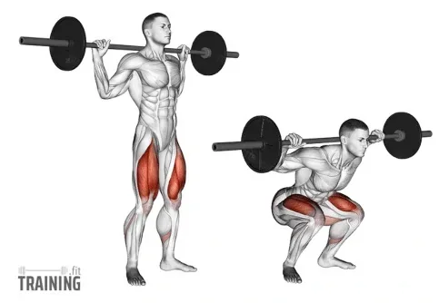 Barbell Squat