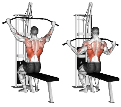 Lat Pull Downs